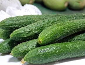 最新吃瓜爆料超劲爆黄瓜 第3张 最新吃瓜爆料超劲爆黄瓜 第3张